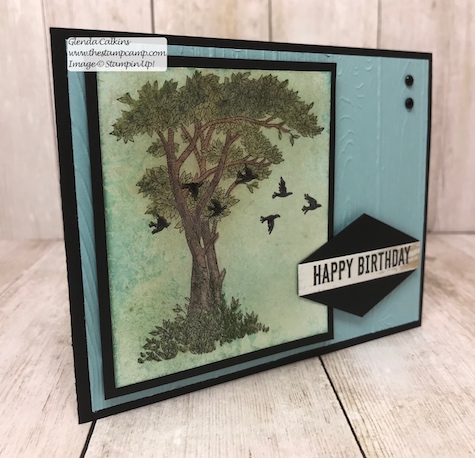 This is the Golden Afternoon stamp set from Stampin' Up! It is the perfect set to do the Faux Mother of Pearl technique with. Details: www.thestampcamp.com #stampinup #thestampcamp #techniques #cards
