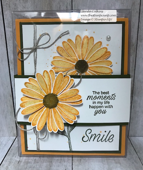 This is the Stampin' Up! Daisy Lane stamp set in all the New 2019/2021 In Colors. Details on my blog here: https://wp.me/p59VWq-a9K #stampinup #thestampcamp #InColors #cards #stamps #daisylane