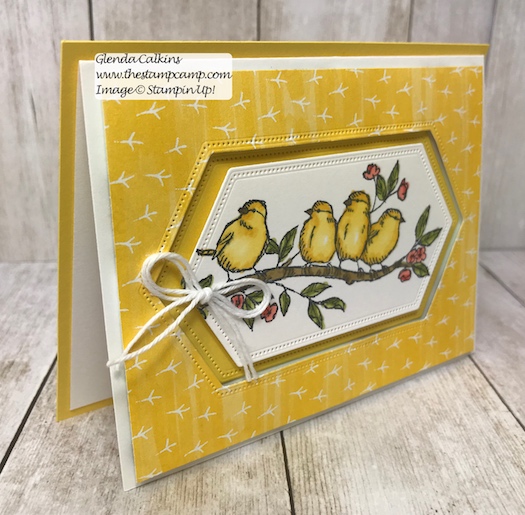 This is my featured stamp set for July. This is a bit of a different fun fold card with a peek a boo window. Details can be found here: https://wp.me/p59VWq-afN #thestampcamp #stampinup #freeasabird #birdballad