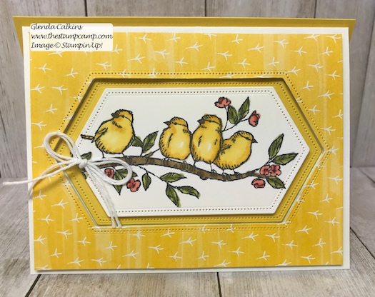 This is my featured stamp set for July. This is a bit of a different fun fold card with a peek a boo window. Details can be found here: https://wp.me/p59VWq-afN #thestampcamp #stampinup #freeasabird #birdballad