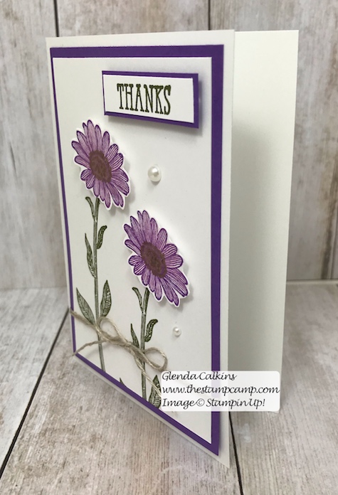 This was my featured stamp set for June. This is the Daisy Lane Bundle from Stampin' Up! Details on my blog here: https://wp.me/p59VWq-acY #stampinup, #thestampcamp, #daisylane #daisy 