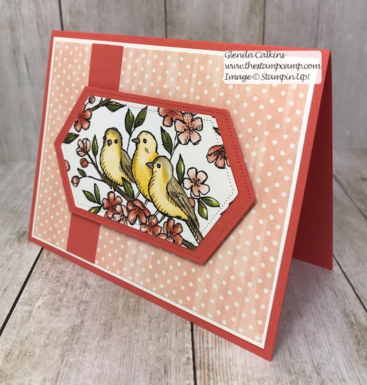This is the Free As A Bird Bundle from Stampin' Up! This is my featured stamp set for July. Details can be found here: https://wp.me/p59VWq-ab3 #thestampcamp #stampinup #freeasabird #birdballad