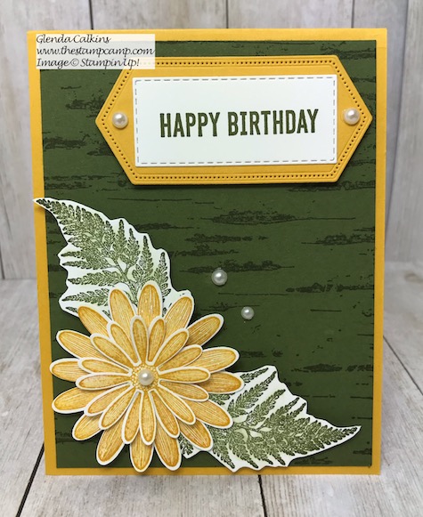 This is the Daisy Lane Bundle from Stampin' Up! with the Birch Background stamp. Details on my blog here: https://wp.me/p59VWq-alW #stampinup #thestampcamp #birch #daisylane