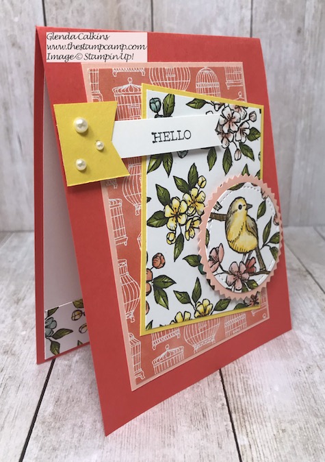 This is the Bird Ballad Designer Series Paper from Stampin' Up! See how easy it is to create a card with just papers and minimal stamping. Details on my blog here: https://wp.me/p59VWq-aiP #stampinup #thestampcamp #designerpaper #stamp