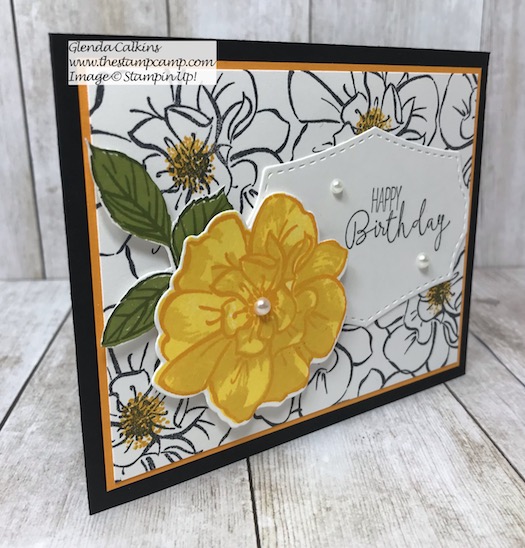 Create your own background printed paper with the To a Wild Rose stamp set from Stampin' Up! Details on my blog here: https://wp.me/p59VWq-aj0 #stampinup #wildrose #thestampcamp #rose