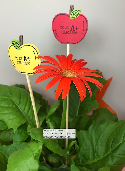 When you give your favorite teacher a gift card make sure to give her a plant as well for her desk with a beautiful plant stake. Details on my blog here: https://wp.me/p59VWq-an7 #stampinup #harvesthellos #thestampcamp #teachergift