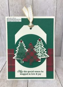 Tag Card and Gift Card Holder Tag