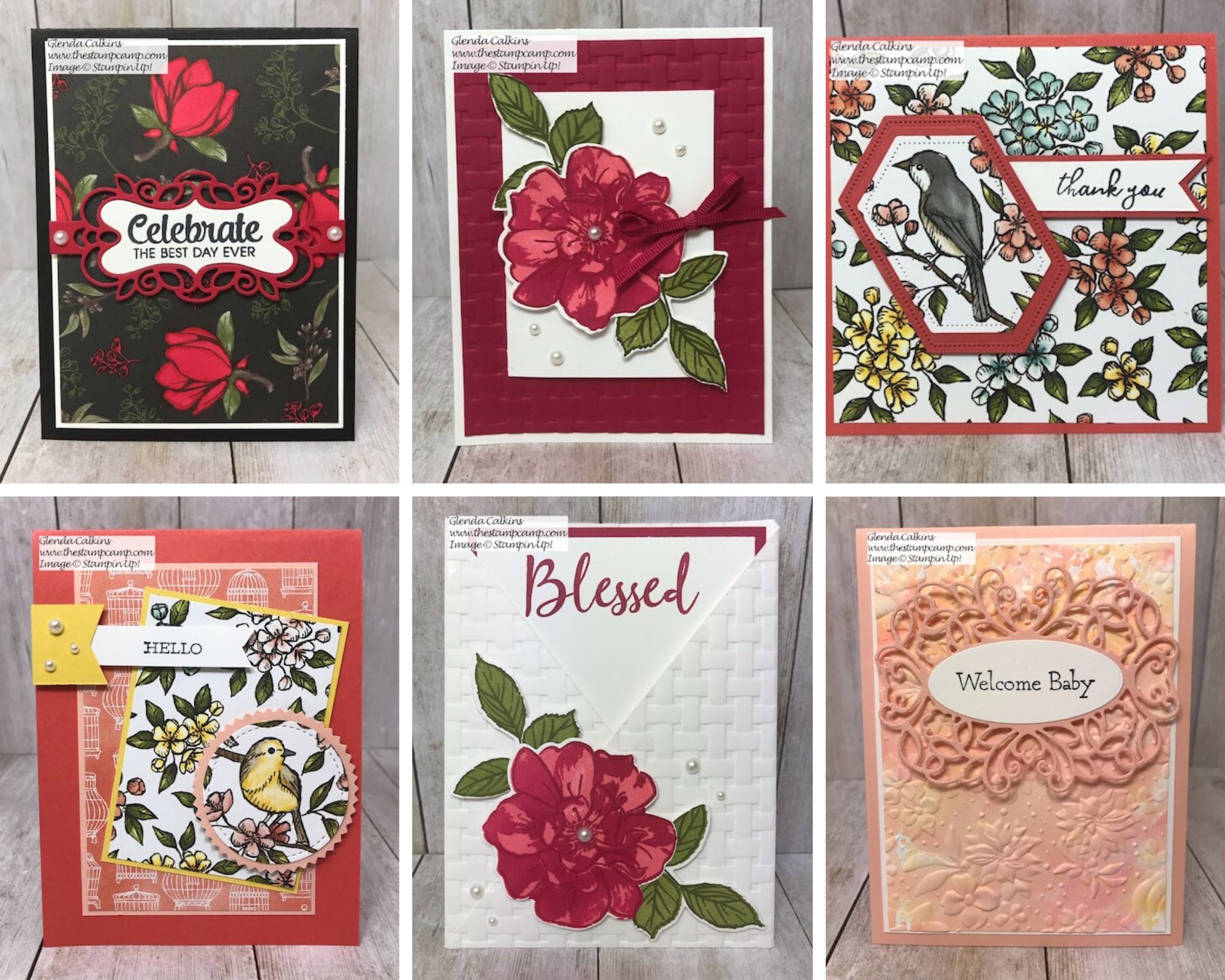 Stamp Sets from the Extravaganza Online Special. Just a few I have done using the special priced sets. Details on my blog here: https://wp.me/p59VWq-ayR #stampinup #thestampcamp #extravaganza