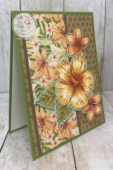 The Timeless Tropical Bundle and the Tropical Oasis Designer Series Paper makes me want to get away to the tropics for some rest and relaxation. Details are on my blog here: https://wp.me/p59VWq-aOP #thestampcamp #stampinup #tropical #timelesstropical