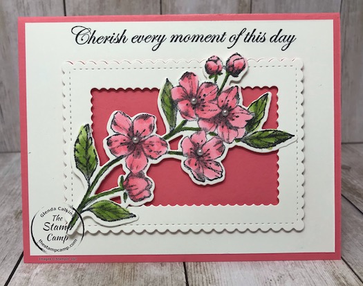 These were created during my facebook and youtube live event. If you would like the details you will find them on my blog here: https://wp.me/p59VWq-aPN #stampinup #thestampcamp #foreverblossoms