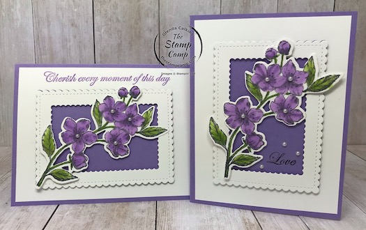 I paired the Stitched So Sweetly Dies with my featured stamp set for March 2020 the Forever Blossoms Bundle. Details are on my blog here: https://wp.me/p59VWq-aPw . #stampinup #stitchedsosweetly #foreverblossoms #thestampcamp