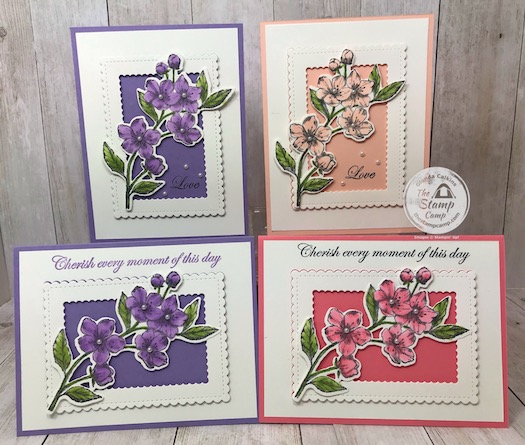 These were created during my facebook and youtube live event. If you would like the details you will find them on my blog here: https://wp.me/p59VWq-aPN #stampinup #thestampcamp #foreverblossoms