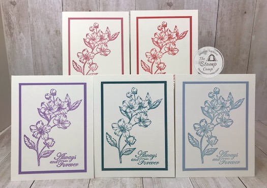My featured stamp set this month is the Forever Blossoms bundle. These are the 5 In Colors for 2019-2021. Details can be found on my blog here: https://wp.me/p59VWq-aQm #stampinup #thestampcamp #incolors #foreverblossoms