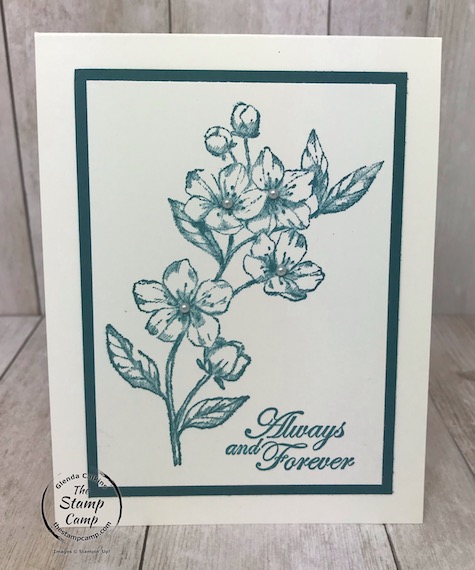 My featured stamp set this month is the Forever Blossoms bundle. These are the 5 In Colors for 2019-2021. Details can be found on my blog here: https://wp.me/p59VWq-aQm #stampinup #thestampcamp #incolors #foreverblossoms #simplestamping
