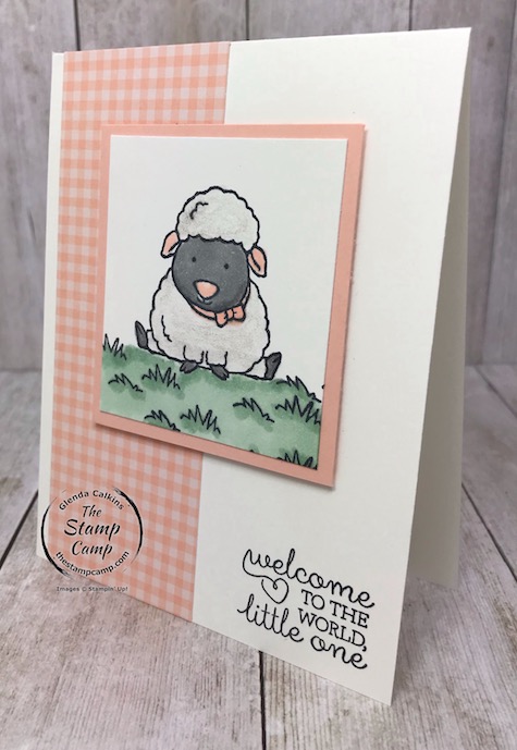 Welcome Little One from the Welcome Easter stamp set isn't just for Easter. Details are on my blog: https://wp.me/p59VWq-aQM #stampinup #baby #thestampcamp #welcomeeaster