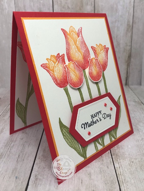 Two Toned stamping with the Timeless Tulips stamp set for Mother's Day. Details are on my blog here: https://wp.me/p59VWq-aW5 . #stampinup #mothersday #thestampcamp #timelesstulips