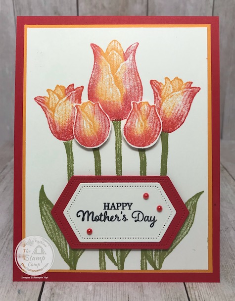 Two Toned stamping with the Timeless Tulips stamp set for Mother's Day. Details are on my blog here: https://wp.me/p59VWq-aW5 . #stampinup #mothersday #thestampcamp #timelesstulips
