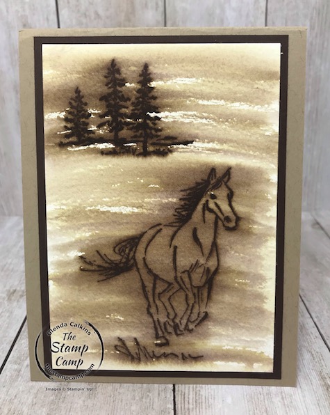 Tuesdays Tips and Techniques is the Faux Wood Burning technique using the Let's Ride stamp set. This set is on the retired list so you will need to order it before June 3rd. Details are on my blog here: https://wp.me/p59VWq-bdZ. #stampinup #thestampcamp #horsestamp #letsride #technique