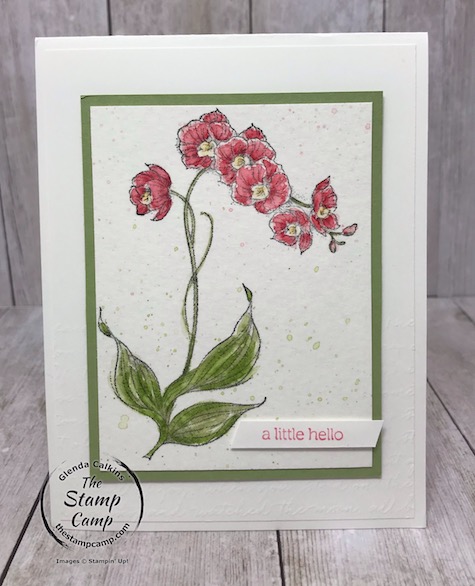 I received this beautiful card from my friend Sara.  She used the soon to be retired Rare Blessings stamp set.  Details can be found on my blog here: https://wp.me/p59VWq-aZY. #stampinup #rareblessings #thestampcamp #watercoloring