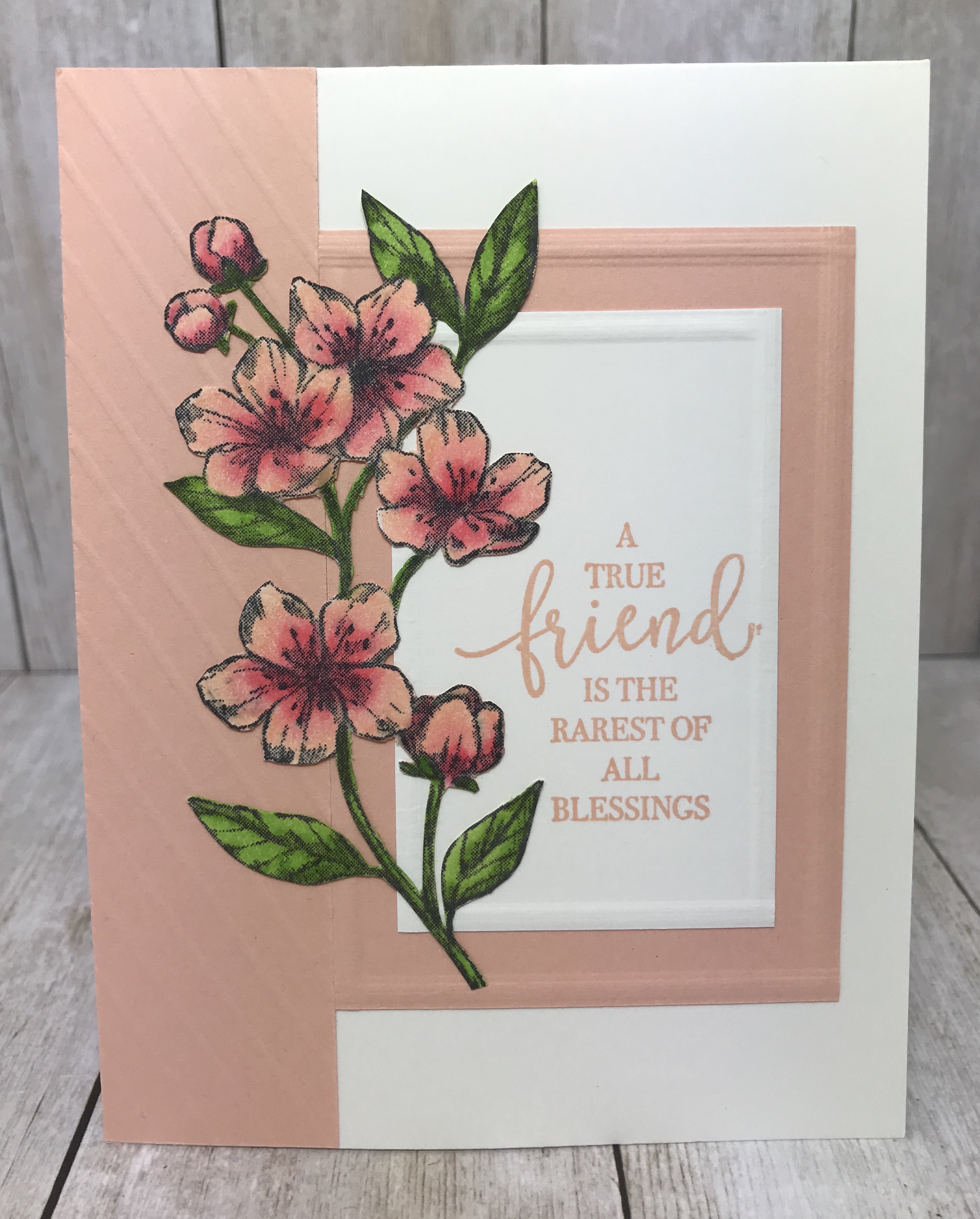 This is a team stamp camp card done by Sara Hoogendoorn. My challenge for April was Simple Stamping. Details are on my blog here: https://wp.me/p59VWq-aYX #stampinup #thestampcamp #simplestamping