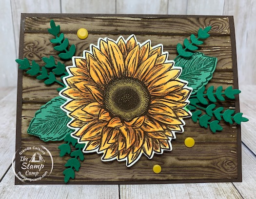 Bonus Card #1 for Celebrate Sunflowers