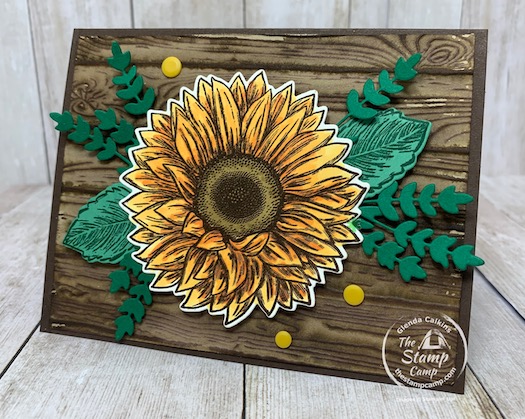 This is a bonus card to my featured stamp set for August 2020 Celebrate Sunflowers. This card coordinates with the other 4 cards in the project with the card portfolio. I think you could probably get all 5 cards in the portfolio okay. Details are on my blog here: https://wp.me/p59VWq-bob. #stampinup #thestampcamp #celebratesunflowers 