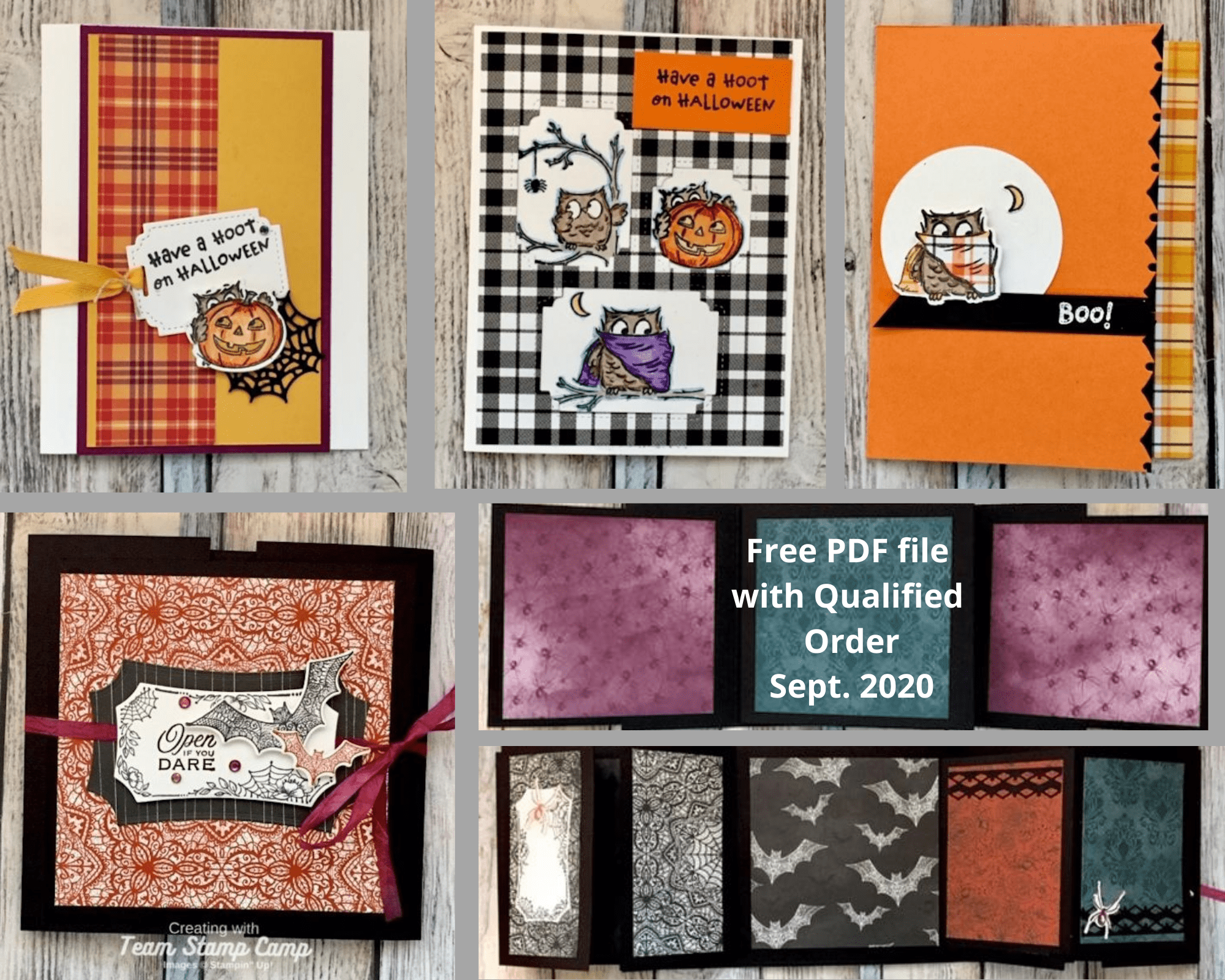 The customer appreciation pdf file this month is all about Halloween Magic! It features the Have a Hoot stamp set and the Hallows Night Magic Bundle stamp sets. Create 3 fun cards and the Open if You Dare Flip Album. Details can be found on my blog here: https://wp.me/p59VWq-brC. #halloween #stampinup #thestampcamp