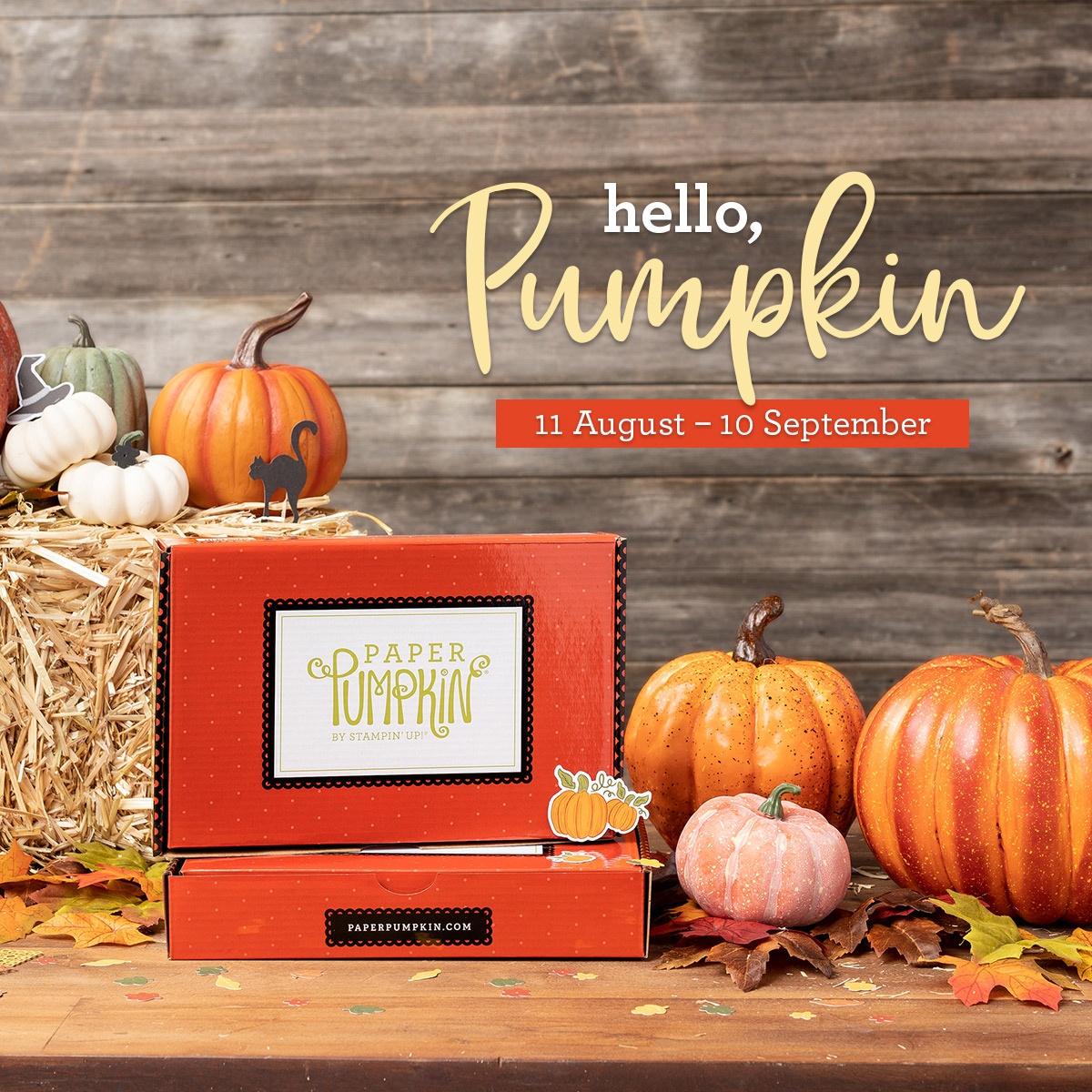 Hello, Pumpkin September's Paper Pumpkin Kit