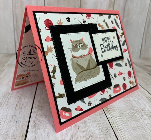 Whether you are a dog lover or a cat love you will love the Playful Pets Suite of products from Stampin' Up! This card was created for my granddaughter Sophia who loves dogs but lately says she wants a kitty too. Details are on my blog here: https://wp.me/p59VWq-btk. #stampinup #playfulpets #thestampcamp #pamperedpets