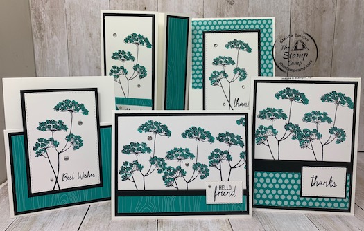 Bonus card #3 for my Queen Anne's Lace Featured Stamp Set for September.  Did you know you can get this stamp set for free in September 2020?  Well you can visit my blog for details here: https://wp.me/p59VWq-bts. #stampinup #thestampcamp #queenanneslace