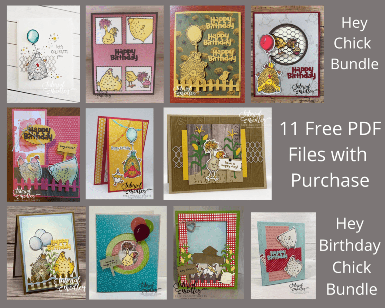Featured Bundles for this month are the Hey Chick and Happy Birthday Chick bundles with some awesome fun dies to go with these stamp sets. You are going to love creating some fun fold cards with these bundles. FREE PDF file with purchase. #thestampcamp #stampinup #heychick #happybirthdaychick