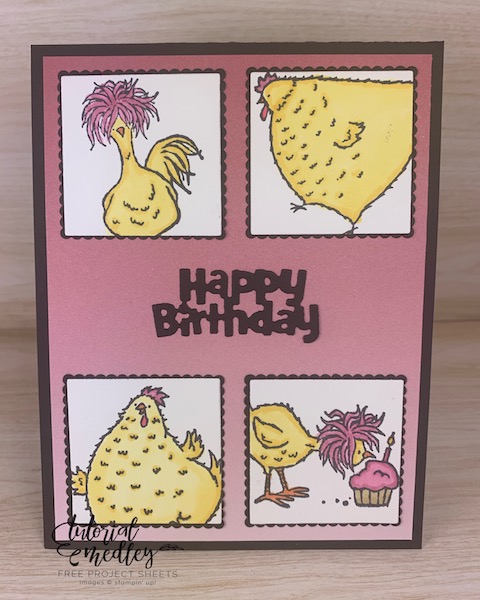 You will have tons of fun with the Hey Chick and Hey Birthday Chick Bundles from Stampin' Up! You can create cards for just about every occasion and person on your list. #thestampcamp #stampinup #heychick