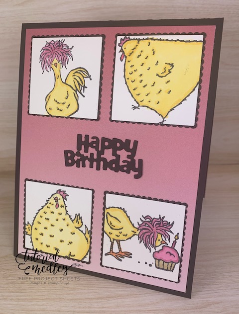You will have tons of fun with the Hey Chick and Hey Birthday Chick Bundles from Stampin' Up! You can create cards for just about every occasion and person on your list. #thestampcamp #stampinup #heychick