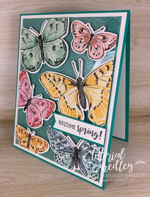 New in the 2021/2022 Stampin' Up! Annual Catalog! This is the Butterfly Brilliance bundle available NOW with some exclusive Designer Paper that you won't want to miss out on. #thestampcamp #stampinup #butterfly