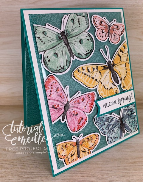 New in the 2021/2022 Stampin' Up! Annual Catalog! This is the Butterfly Brilliance bundle available NOW with some exclusive Designer Paper that you won't want to miss out on. #thestampcamp #stampinup #butterfly