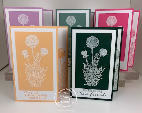 New Stampin' Up! In Colors coming May 4th! I'm looking for some club members who would like to get the In Colors a month at a time and enjoy some other perks as well. #thestampcamp #stampinup #incolors