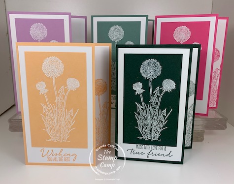 Stampin' Up! In Color Club