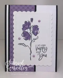 Color & Contour Stampin' Up! Bundle For The Win!