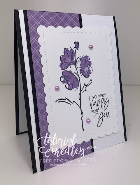 Color & Contour Stampin up