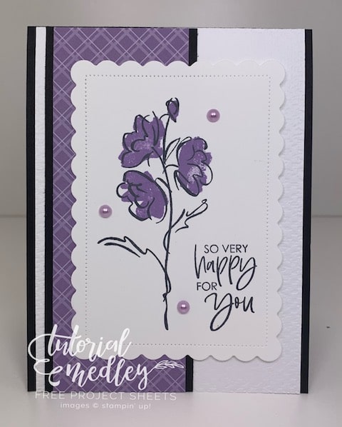 Color & Contour Stampin' Up!