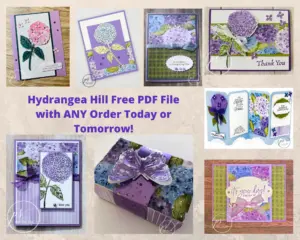 Don't Miss Out On The Hydrangea Hill Designer Series Paper!