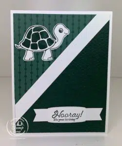 A Basic In Color Card With The Turtle Friends Bundle
