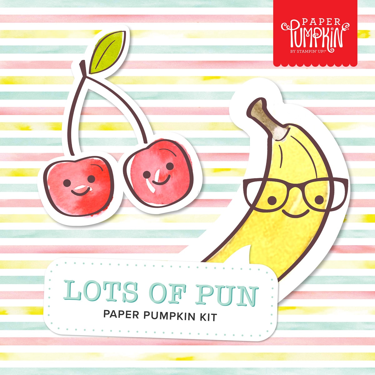 Paper Pumpkin Kit Stampin' Up! For December Is Lots of Pun! The Stamp Camp