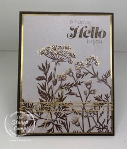 Stampin' Up! Catalog's Blackberry Beauty Paper Just Gorgeous!