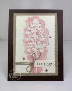 Amazing Silhouettes New Stamp Set From Stampin' Up! Catalog