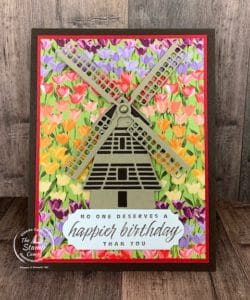 Reminiscing Of Tulip Fields In Holland Michigan With Tulip Fields Set