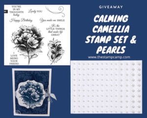 Paper Pumpkin Kit Stampin' Up! And BINGO Giveaway!