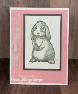 Join My Team Stamp Camp and Join The Fun!