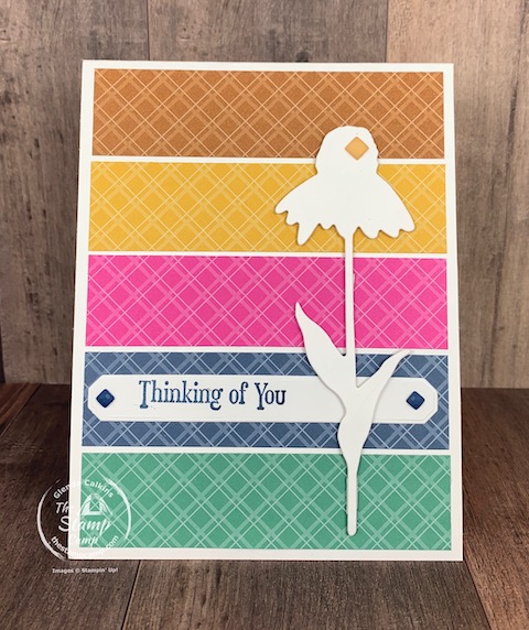 retiring in color retired stampin up products