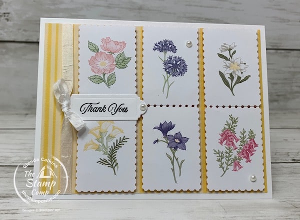 stamping techniques and sale-a-bration from the stamp camp